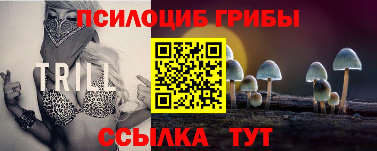Псилоцибиновые грибы Psilocybe  Галлюциногенные грибы Psilocybe  Вход с VPN  Ялуторовск 
